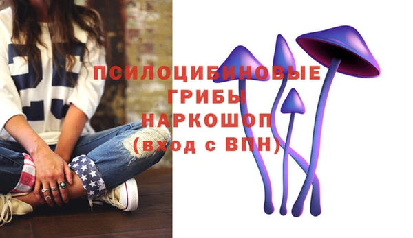 соль ск Нея