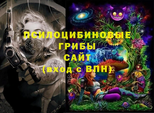 тгк Абдулино