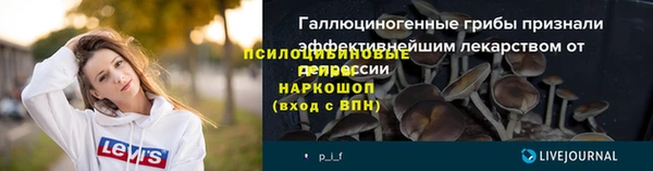 СК Нефтекумск