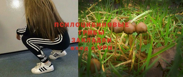 тгк Абдулино