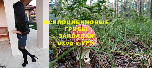 соль ск Нея